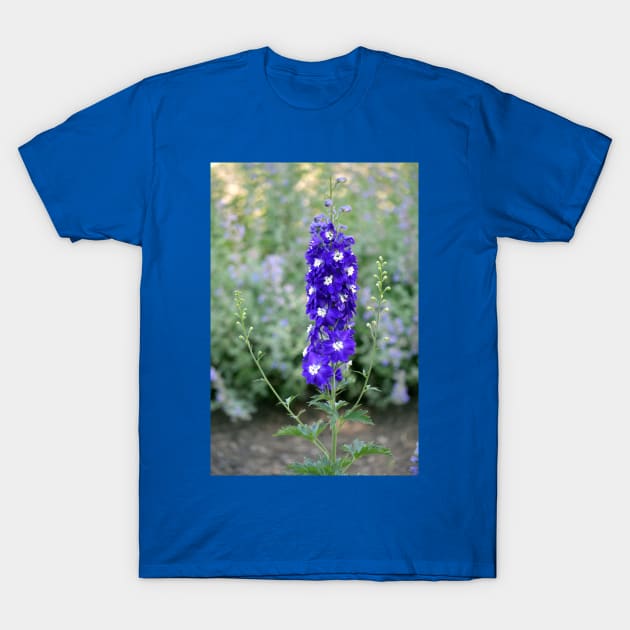 Lupine T-Shirt by Drgnfly4free